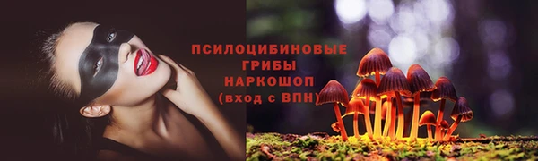 стафф Красноперекопск