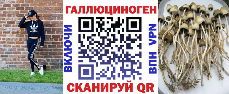 Купить закладки Кохма Псилоцибиновые грибы прущие грибы