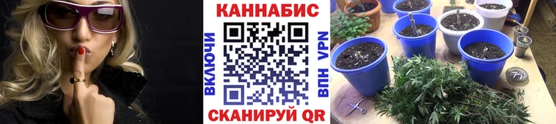 Канабис индика Кохма